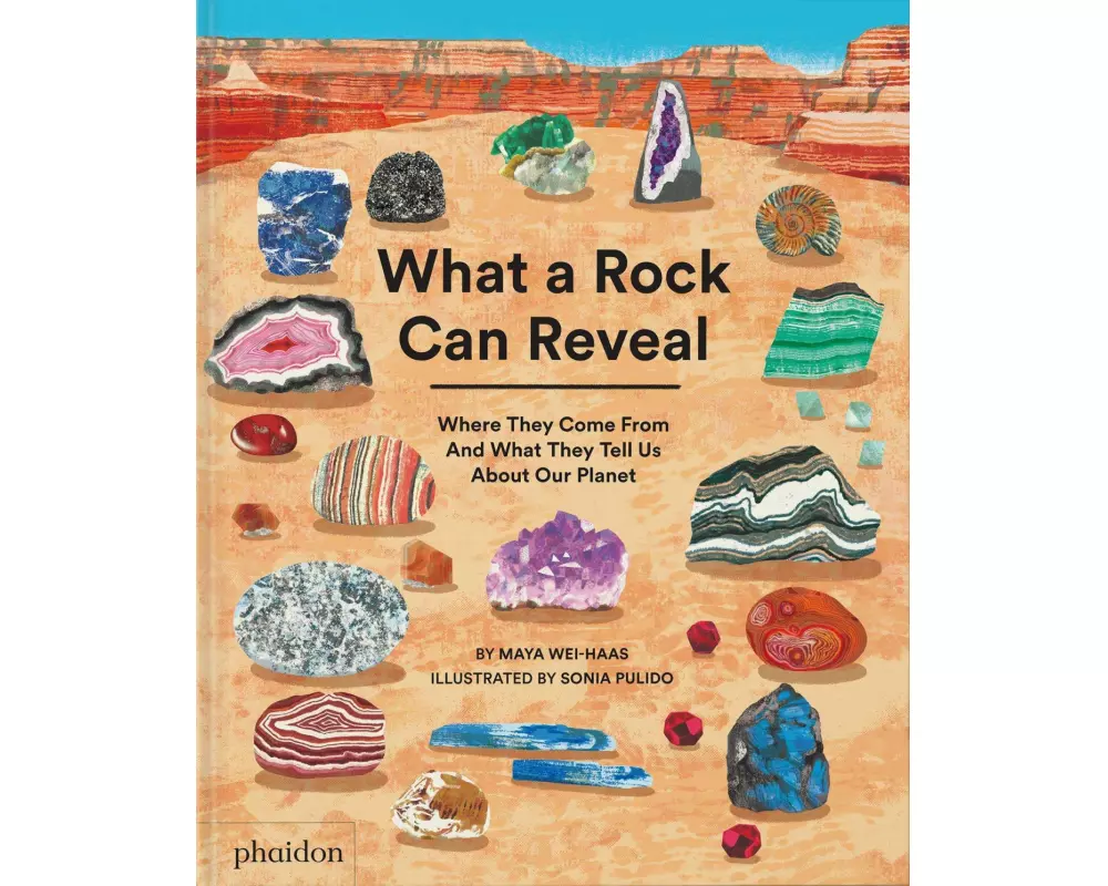 What a Rock Can Reveal