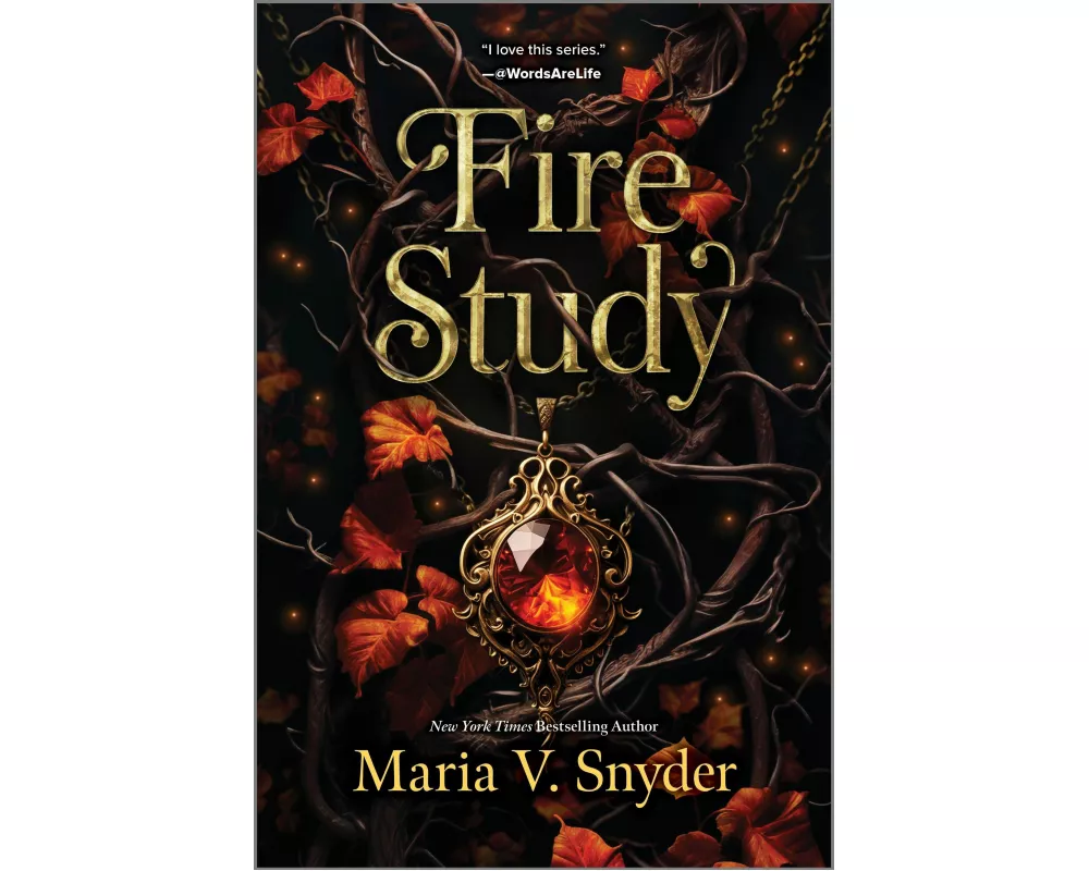 Fire Study