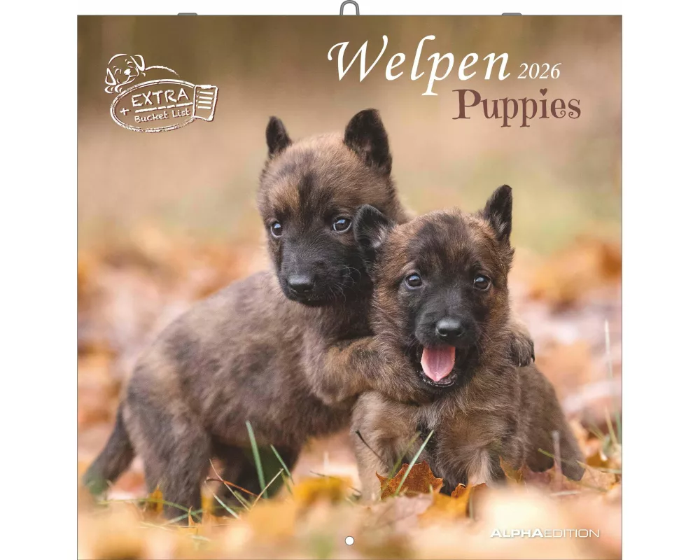 Alpha Edition - Welpen Kalender 2026 – Wandkalender 30x30 cm (30x60 cm geöffnet) – Für Hundeliebhaber – 12 süße Hundefotografien, viel Platz für Notiz