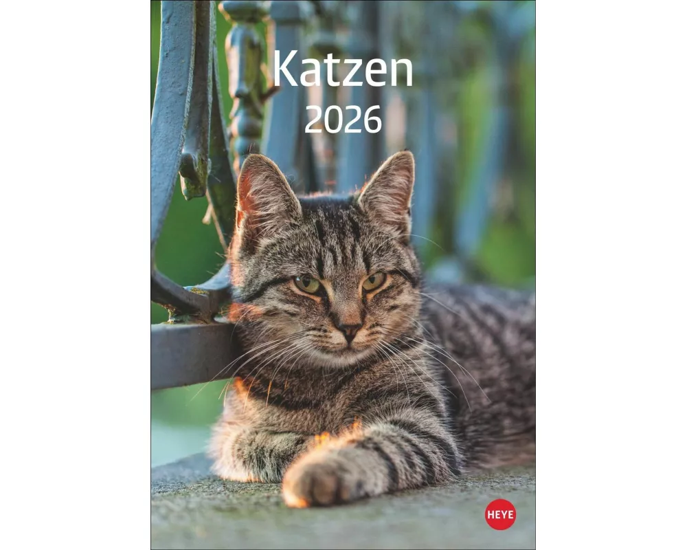 Katzen Kalender 2026