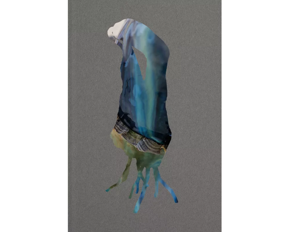 Sebastian Stöhrer - Bewohner