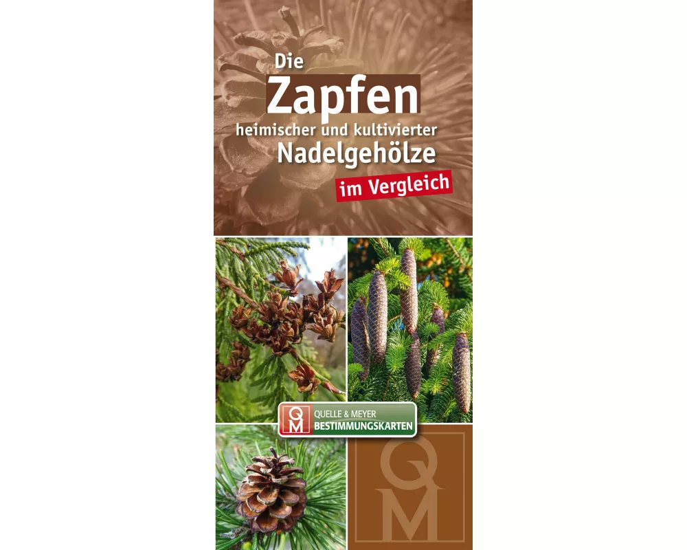 Die Zapfen heimischer und kultivierter Nadelgehölze im Vergleich