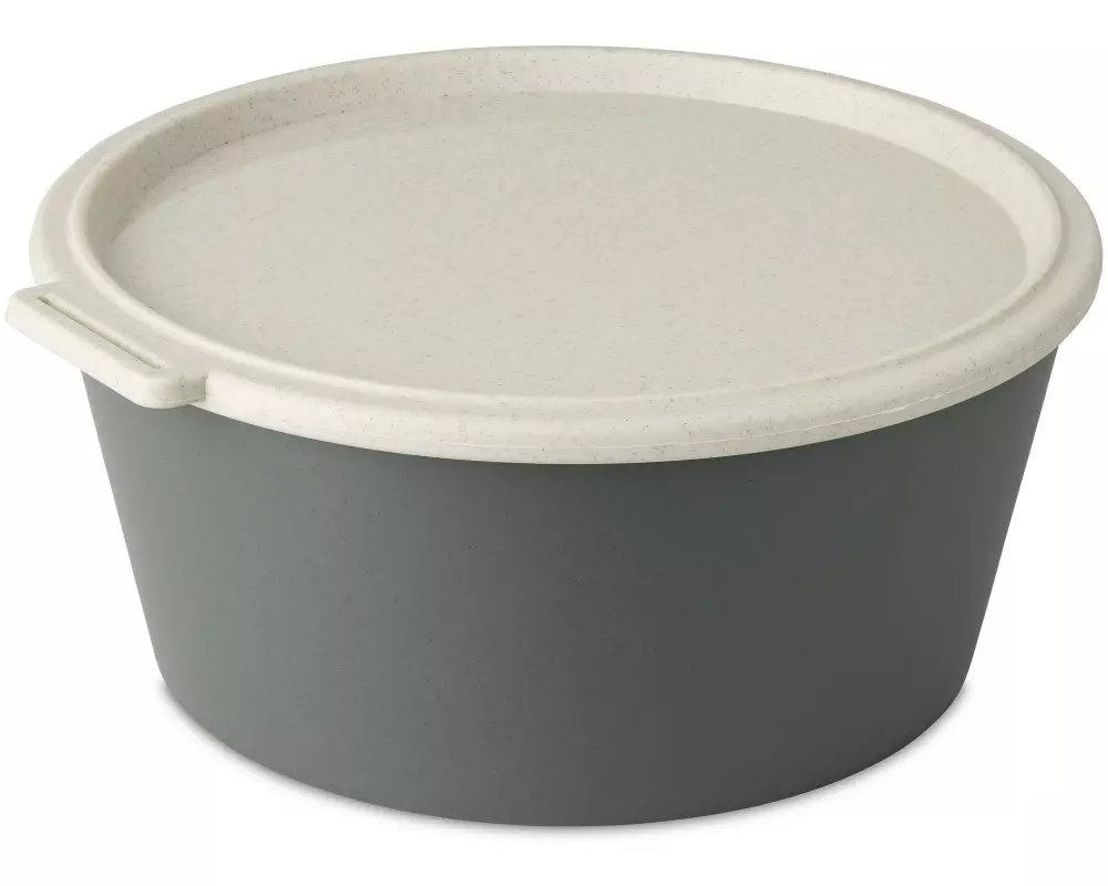 Koziol Schale Move Box mit Deckel 2.2 l, Grau