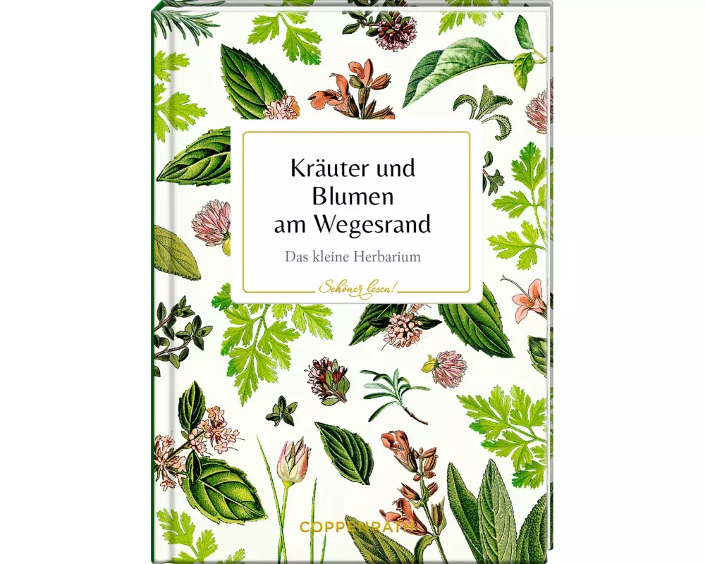 Kräuter und Blumen am Wegesrand