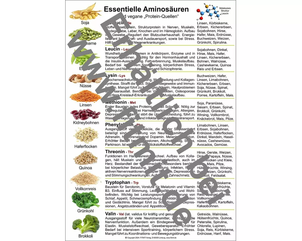 Aminosäuren und vegane Protein-Quellen