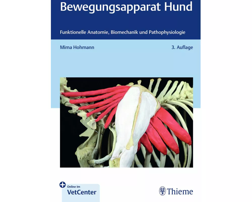 Bewegungsapparat Hund