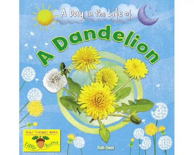 A Dandelion