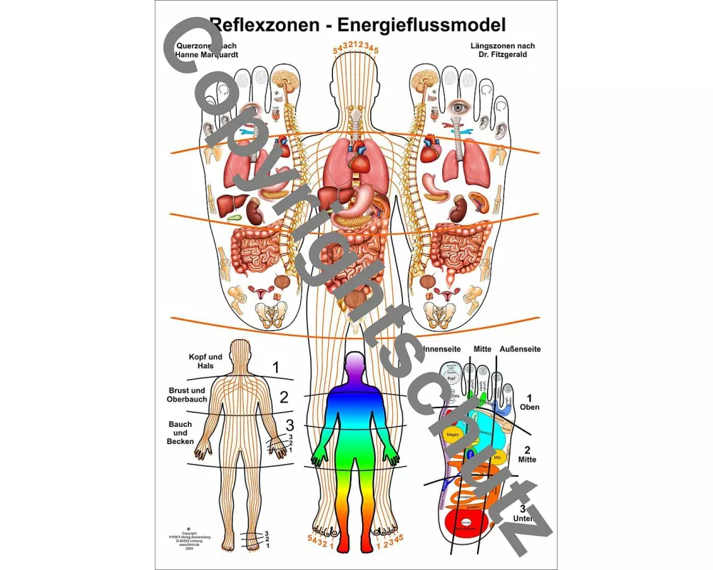Reflexzonen - Energieflussmodel