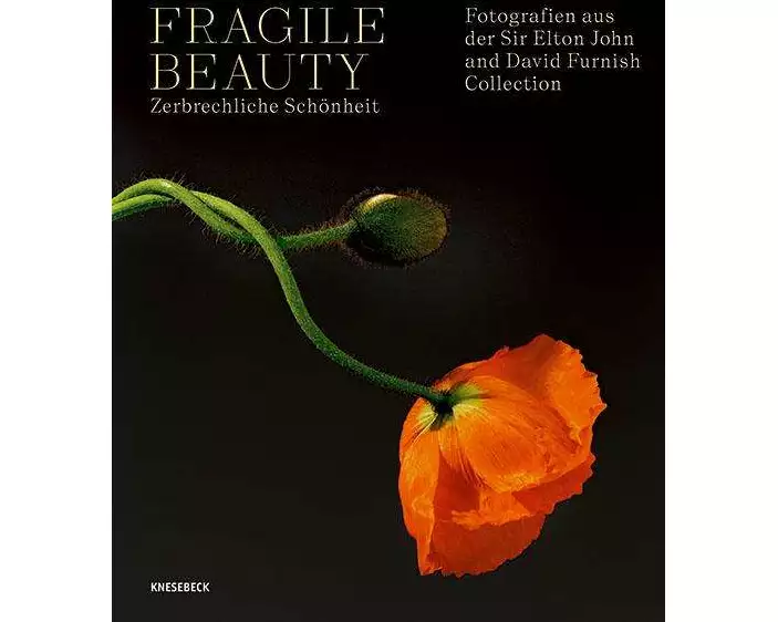 Fragile Beauty – zerbrechliche Schönheit