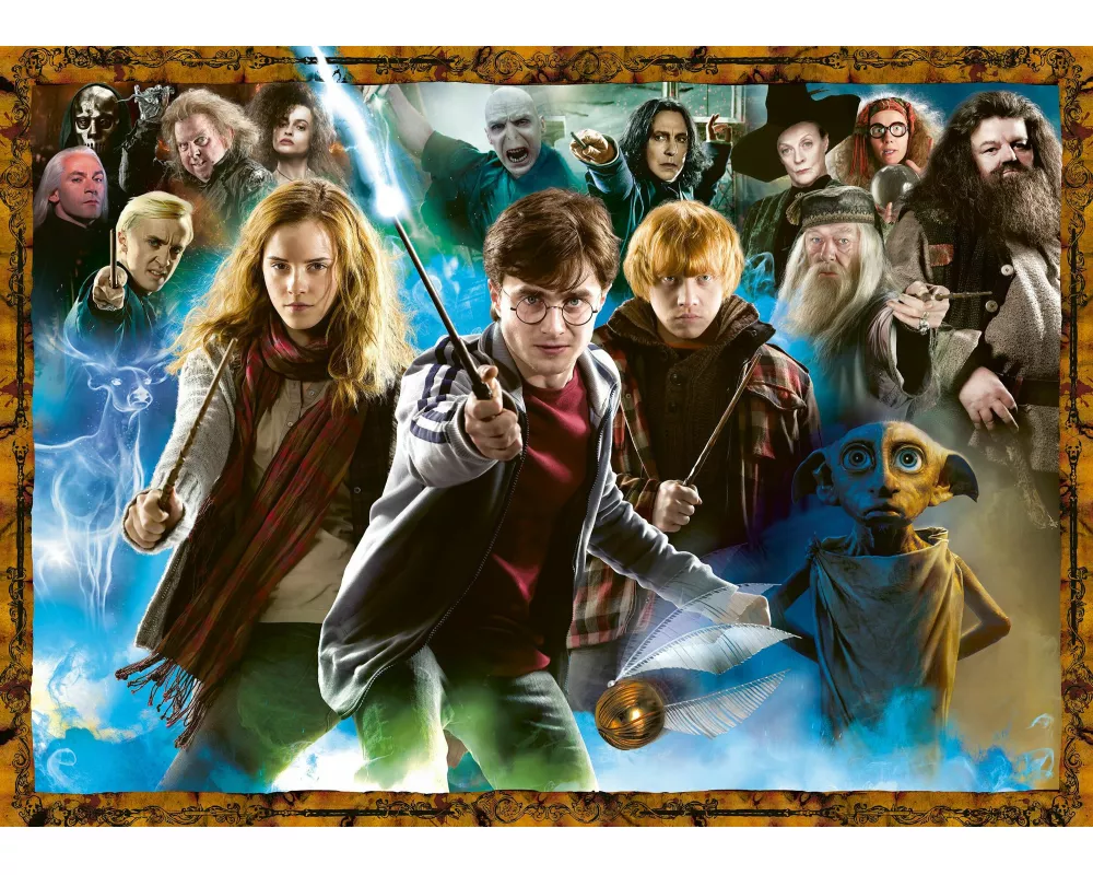 Erwachsenenpuzzle 1000 Teile - Der Zauberschüler Harry Potter