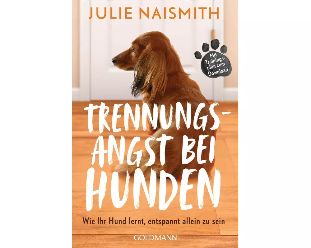Trennungsangst bei Hunden