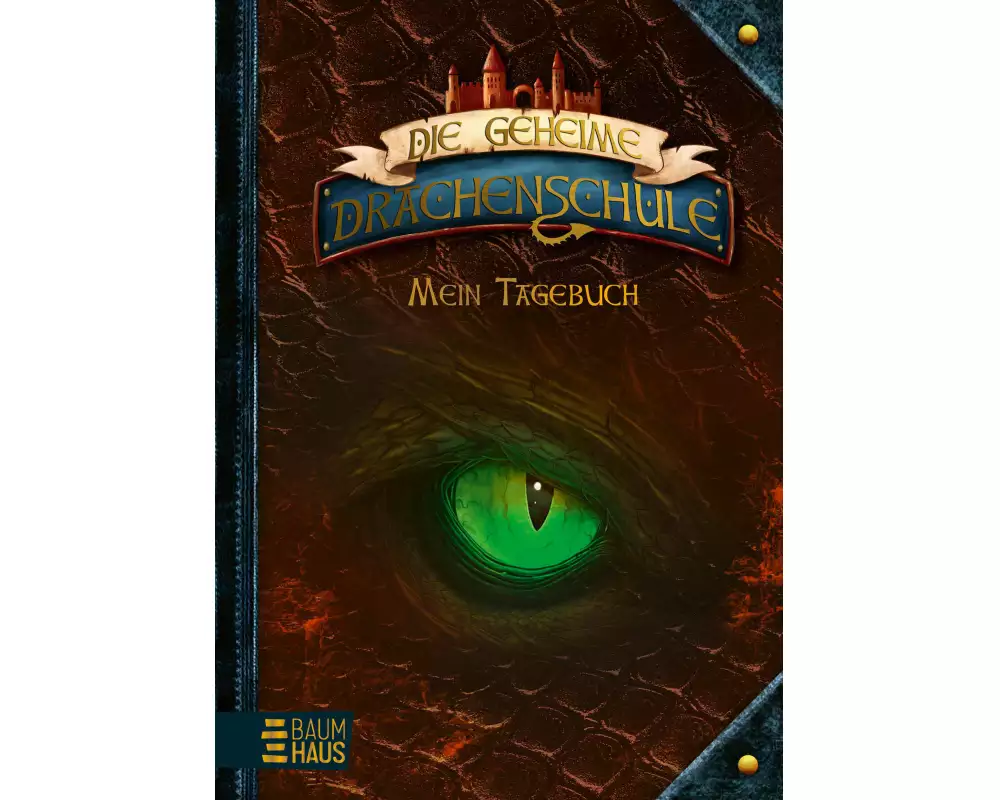 Die geheime Drachenschule - Mein Tagebuch