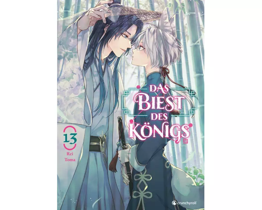 Das Biest des Königs – Band 13