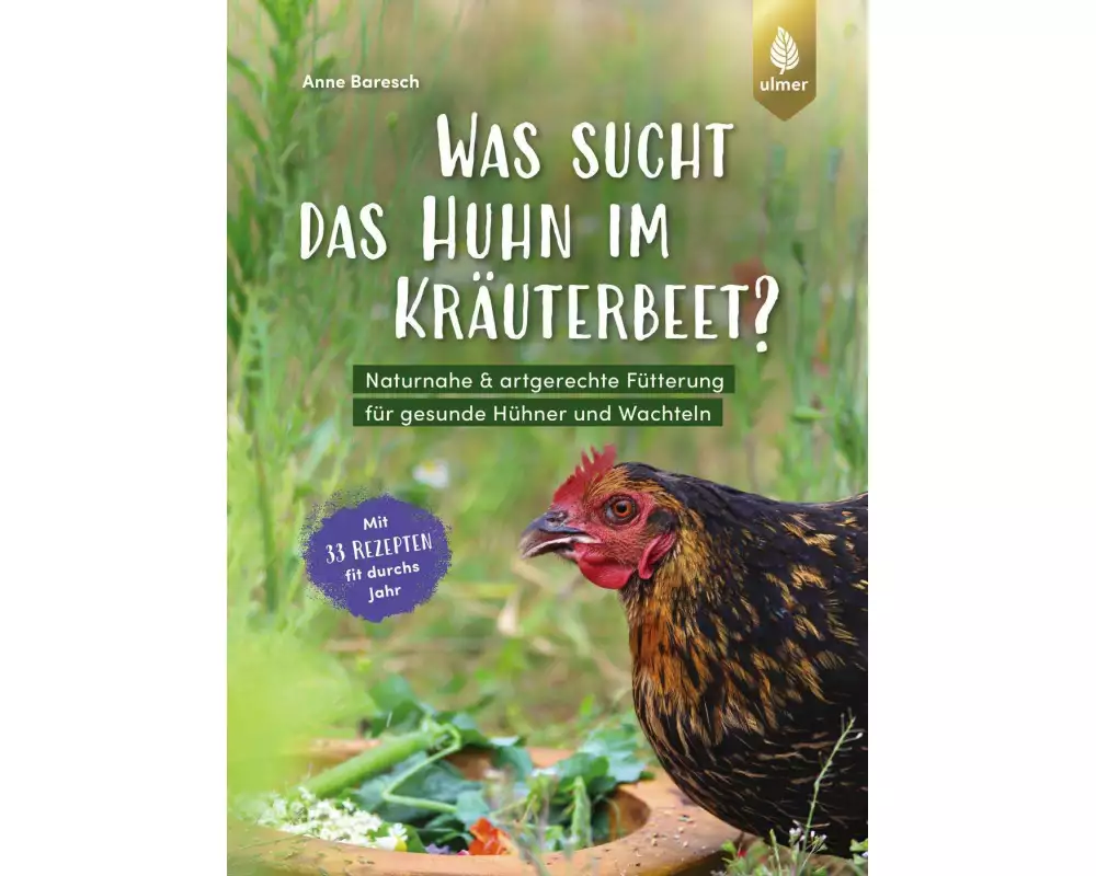 Was sucht das Huhn im Kräuterbeet?