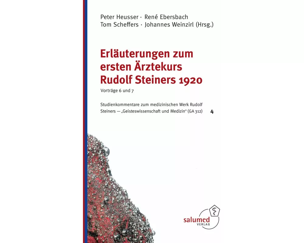 Erläuterungen zum ersten Ärztekurs Rudolf Steiners 1920 - Vorträge 6 und 7
