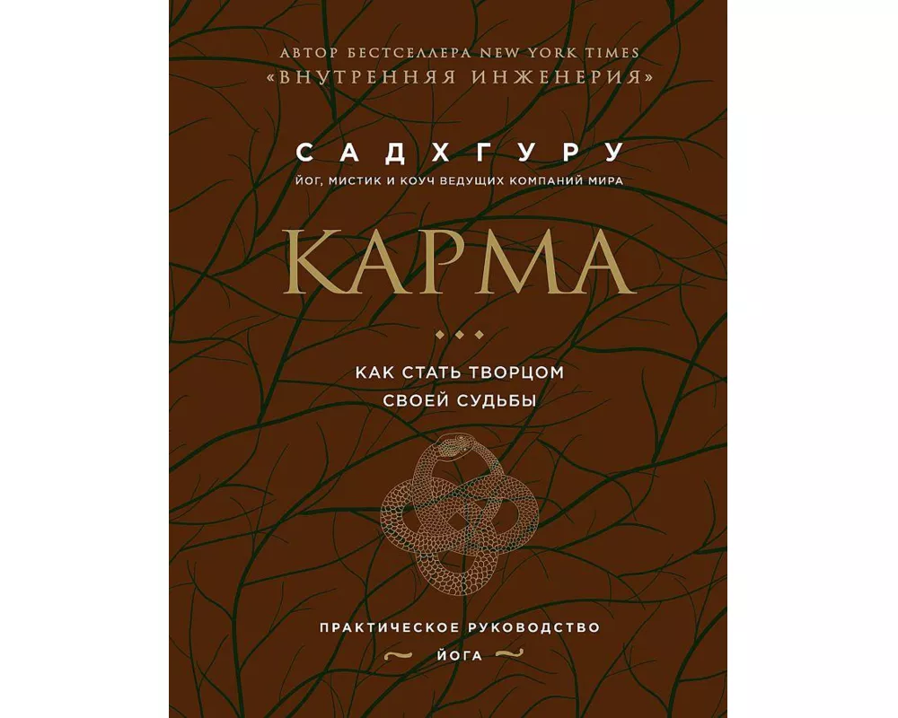 Karma. Kak stat' tvorcom svoej sud'by