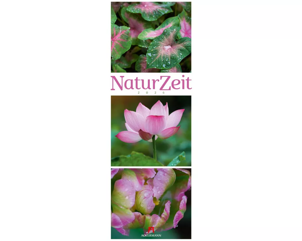 NaturZeit Triplet-Kalender 2026
