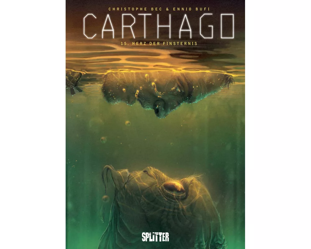 Carthago. Band 15
