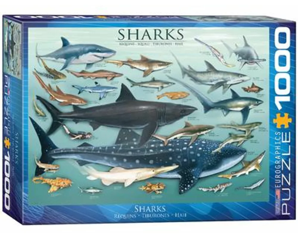 Puzzle 1000 Teile - Sharks