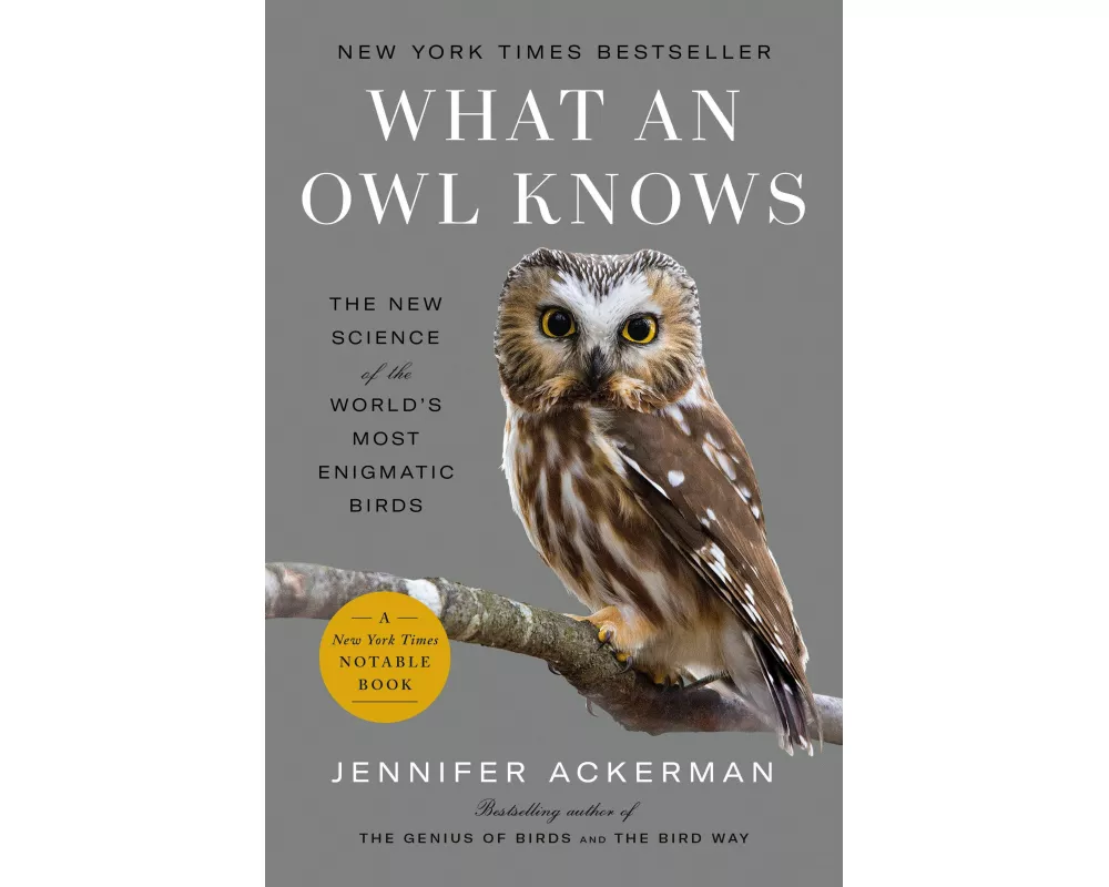 What an Owl Knows
