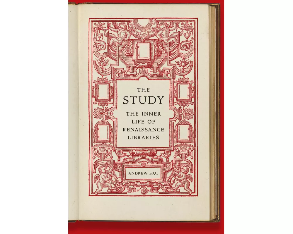 The Study
