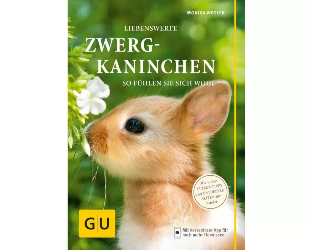 Liebenswerte Zwergkaninchen