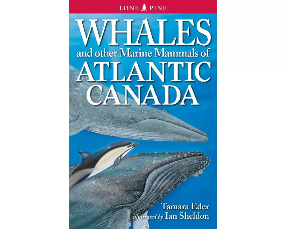 Whales and Other Marine Mammals of Atlantic Canada