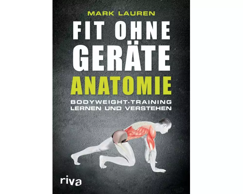 Fit ohne Geräte - Anatomie
