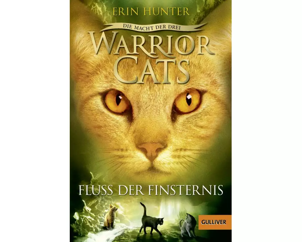 Warrior Cats - Die Macht der Drei. Fluss der Finsternis