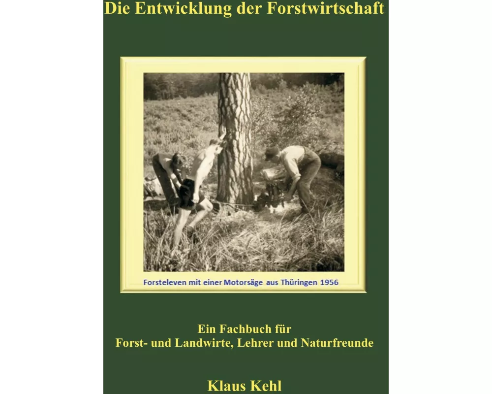 Die Entwicklung der Forstwirtschaft
