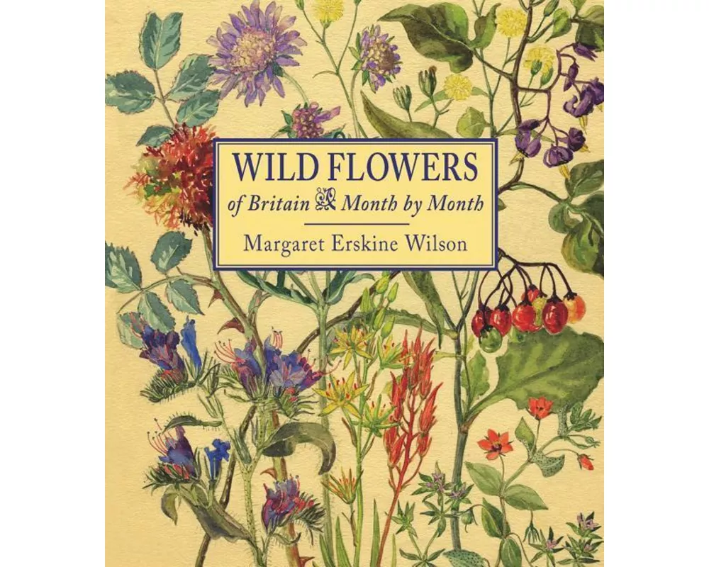 Wild Flowers of Britain