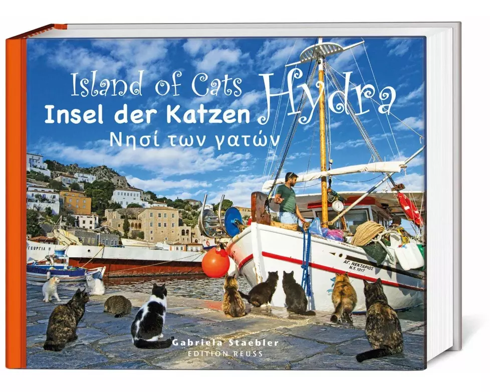 Insel der Katzen - Hydra