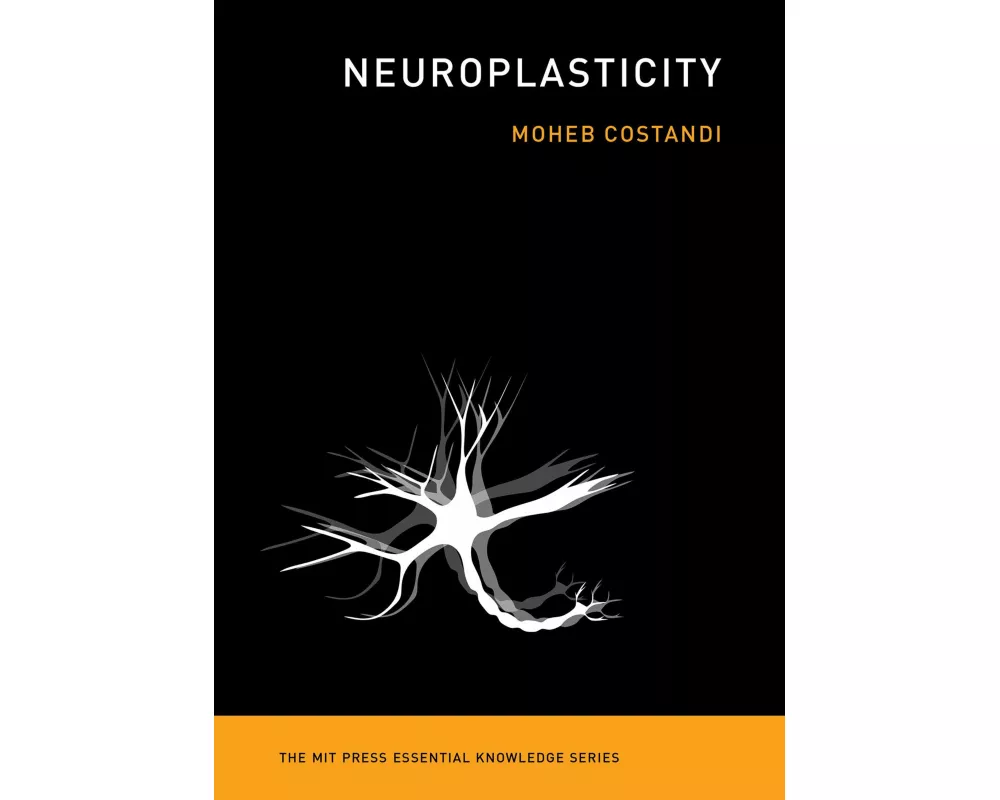 Neuroplasticity