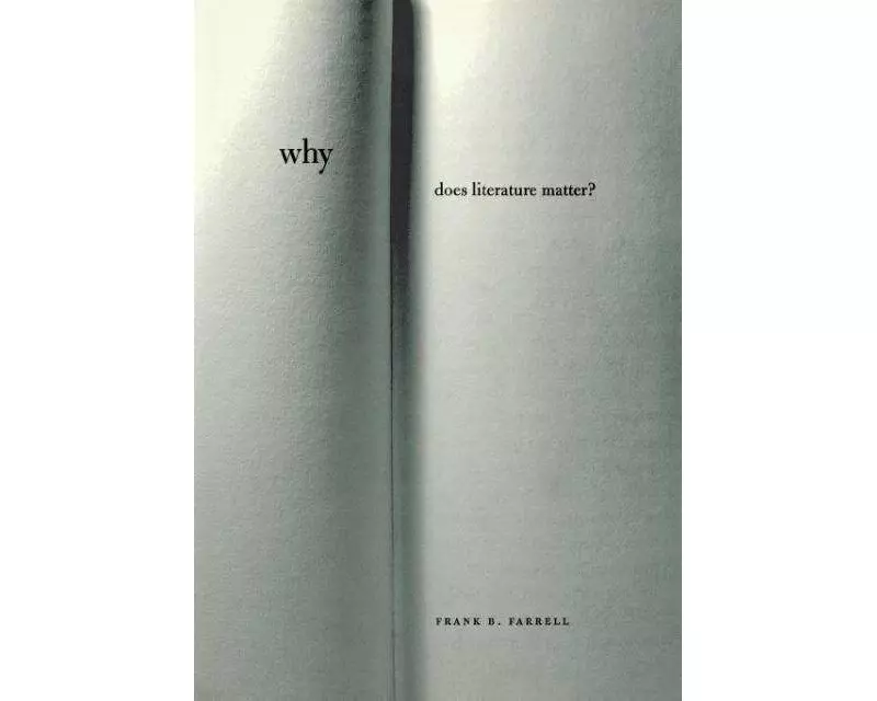 Why Does Literature Matter?