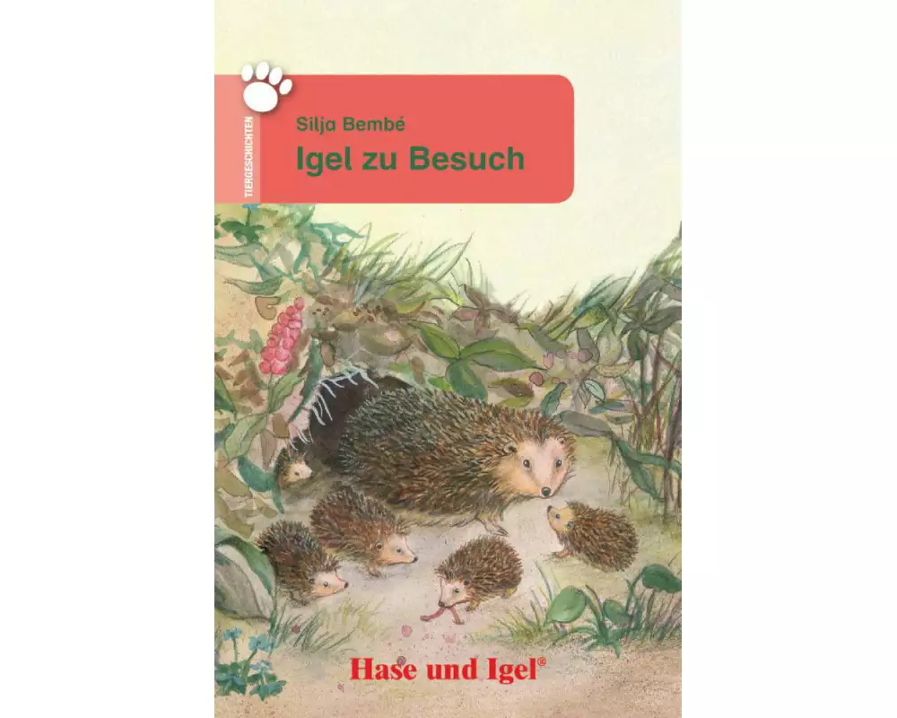 Igel zu Besuch