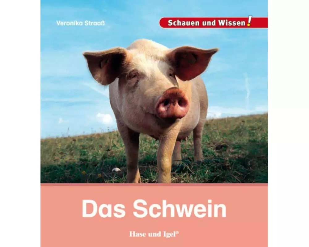 Das Schwein