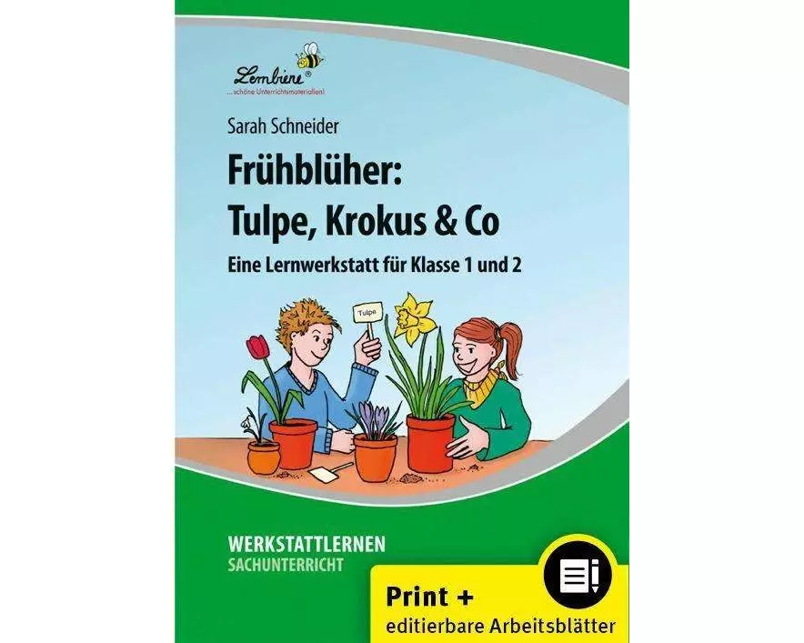 Frühblüher: Tulpe, Krokus & Co