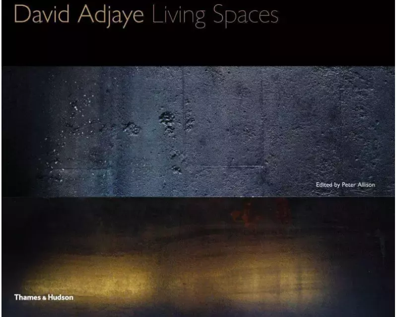 David Adjaye