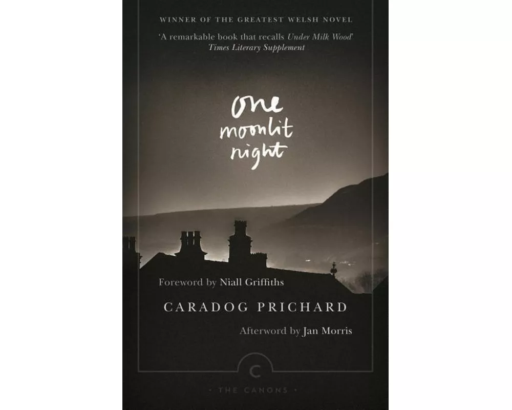 One Moonlit Night