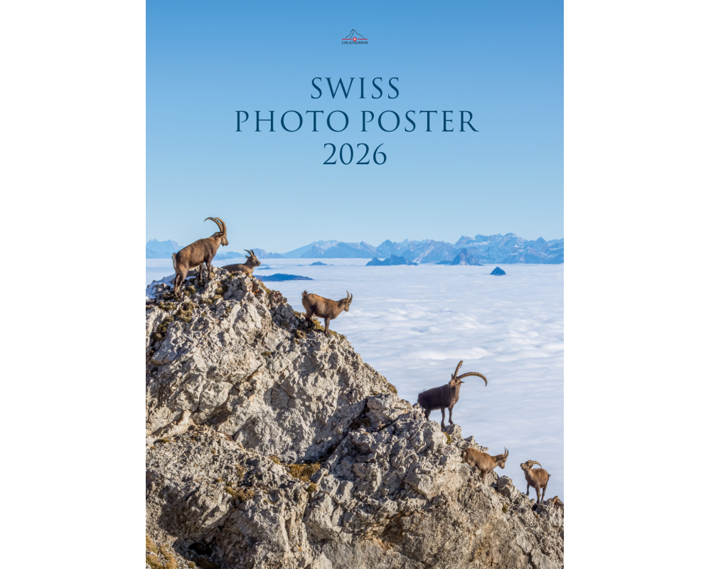 CALENDARIA Bildkalender 2026 9783036205281 Swiss Photo Poster ML 50x68cm