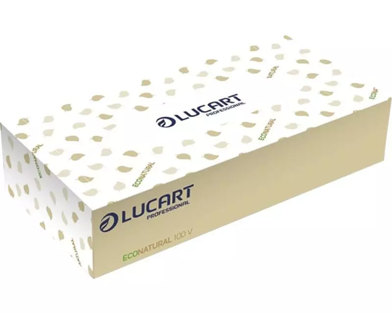 Lucart Eco Natural Kosmettuch Papier weiss 200 x 210 mm