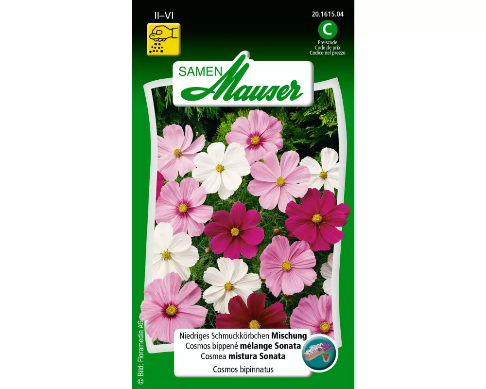 Samen Mauser Saatgut Schmuckkörbchen niedrige Misch.