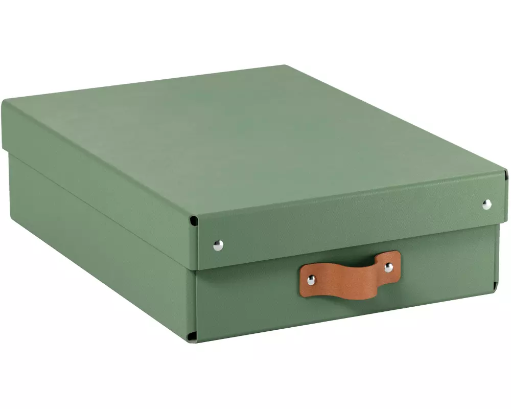 Leitz Arrchivbox Puro flach mit Klappdeckel, 2 Stück, Hellgrün