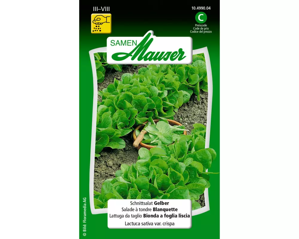 Samen Mauser Samen Schnittsalat Gelber