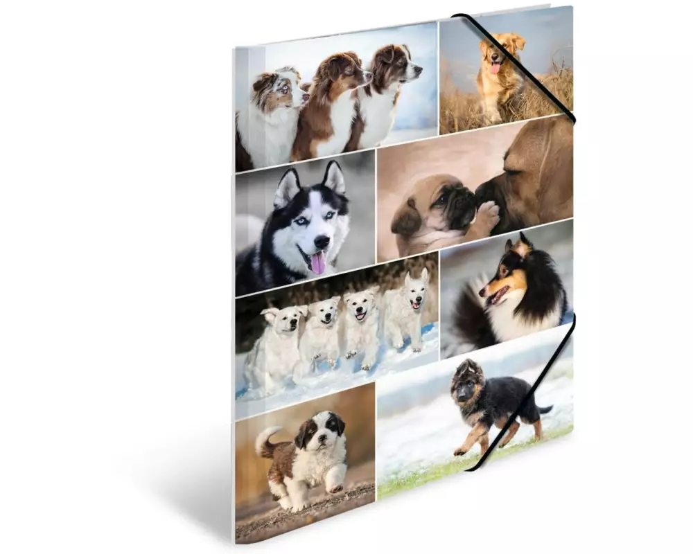 HERMA Gummibandmappe A3 Hunde, Karton, mit Innendruck