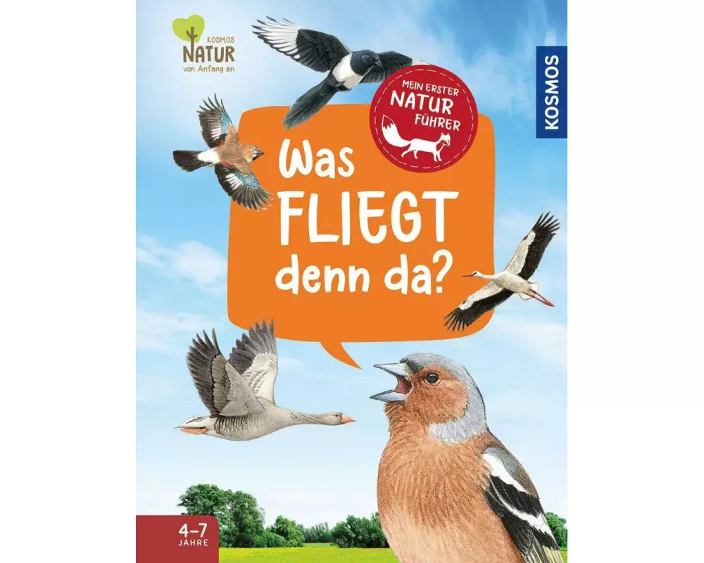 Mein erster Naturführer, Was fliegt denn da?