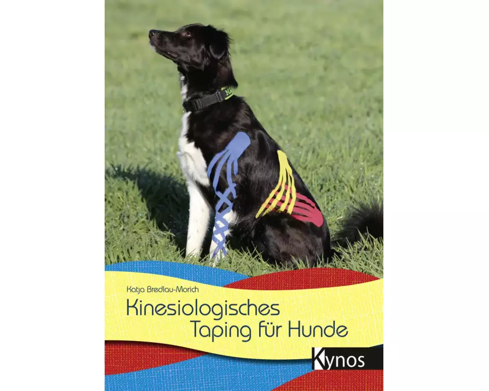 Kinesiologisches Taping für Hunde