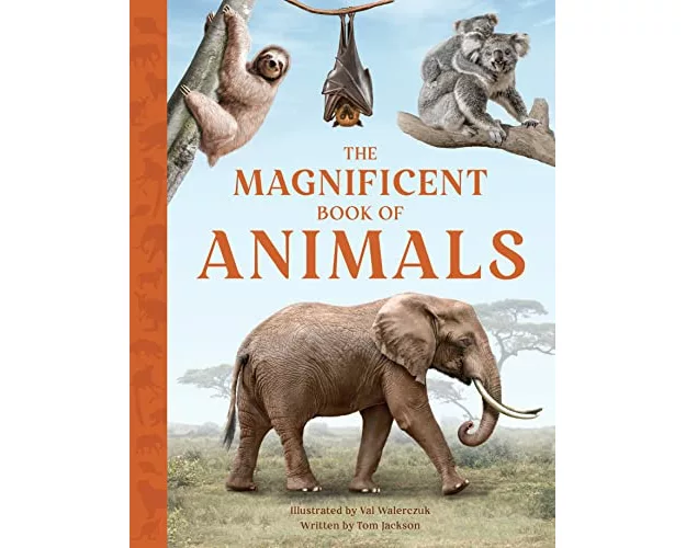 The Magnificent Book of Animals