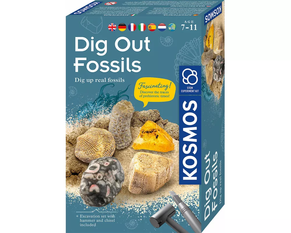 MBE Dig Out Fossils INT