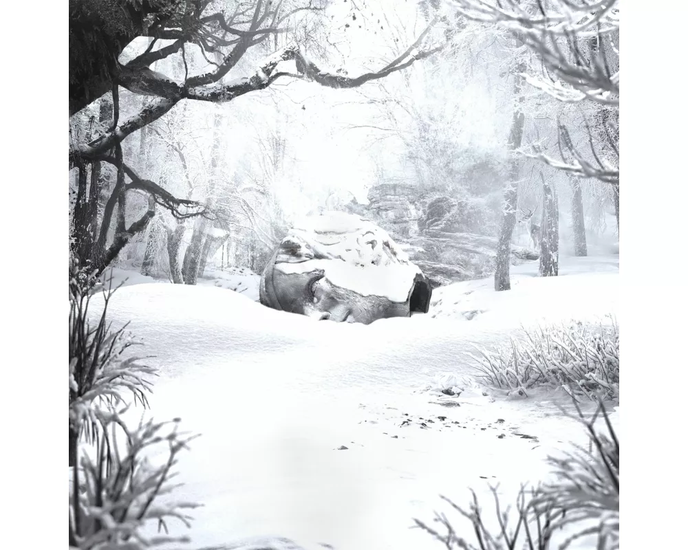 SZNZ:Winter